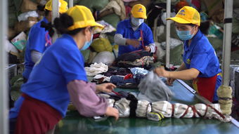 闲鱼回收一万吨旧衣服想干啥 它们再生成了大棚保温被 环保袋和劳保手套